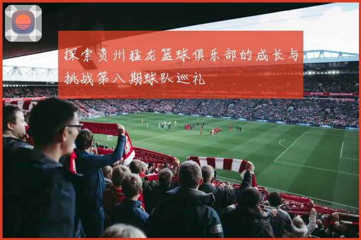 探索贵州猛龙篮球俱乐部的成长与挑战第八期球队巡礼