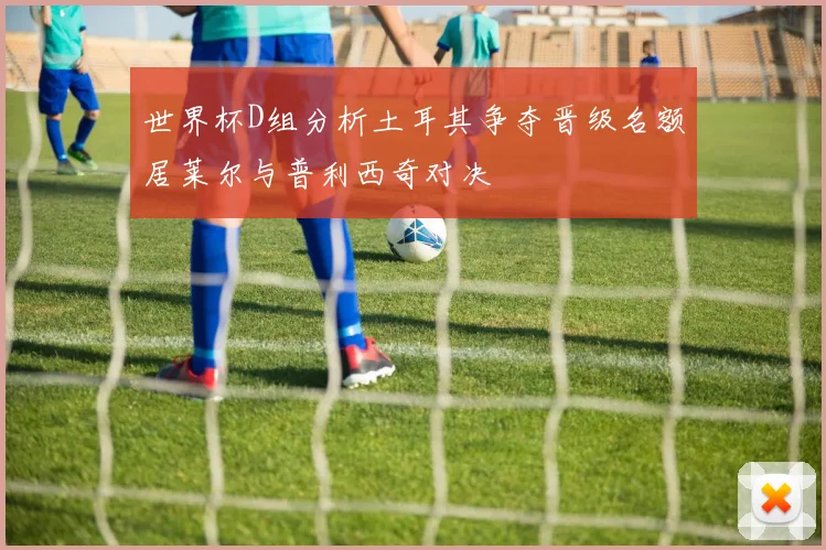 世界杯D组分析土耳其争夺晋级名额居莱尔与普利西奇对决