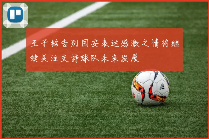 王子铭告别国安表达感激之情将继续关注支持球队未来发展