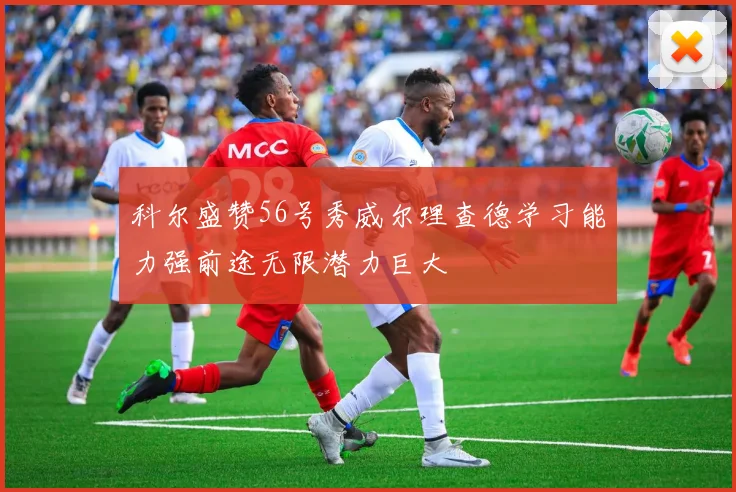 科尔盛赞56号秀威尔理查德学习能力强前途无限潜力巨大