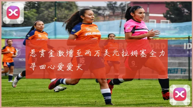 悬赏金激增至两万美元拉姆塞全力寻回心爱爱犬